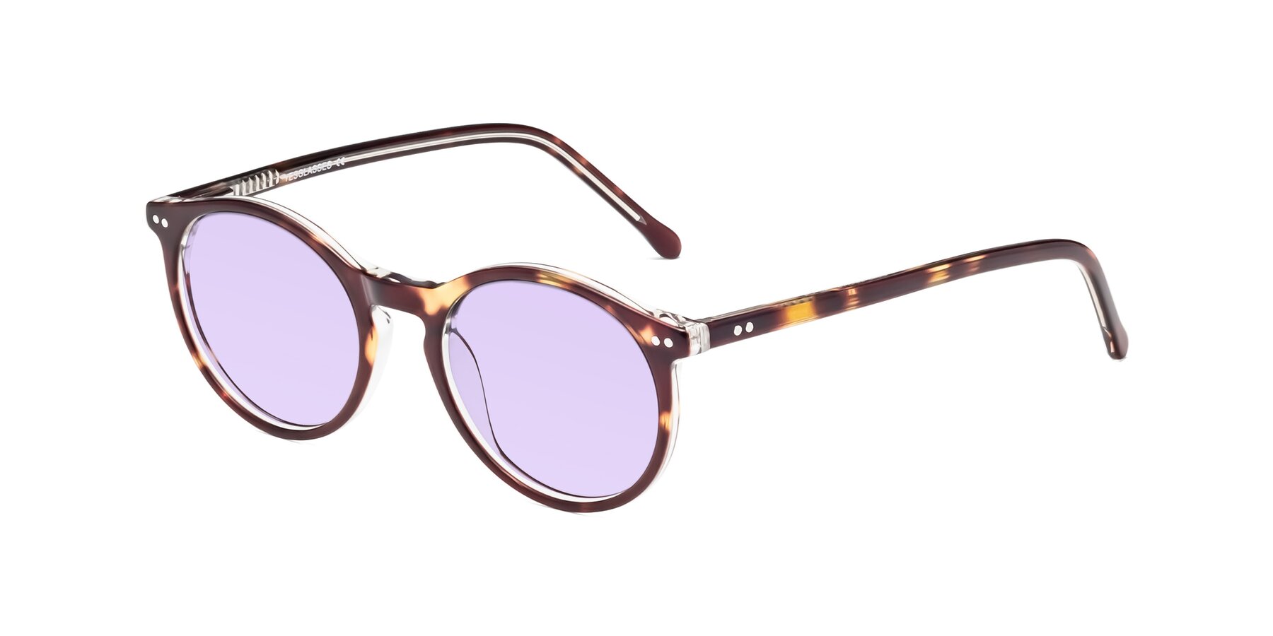 Angle of Echo in Tortoise-Clear with Light Purple Tinted Lenses