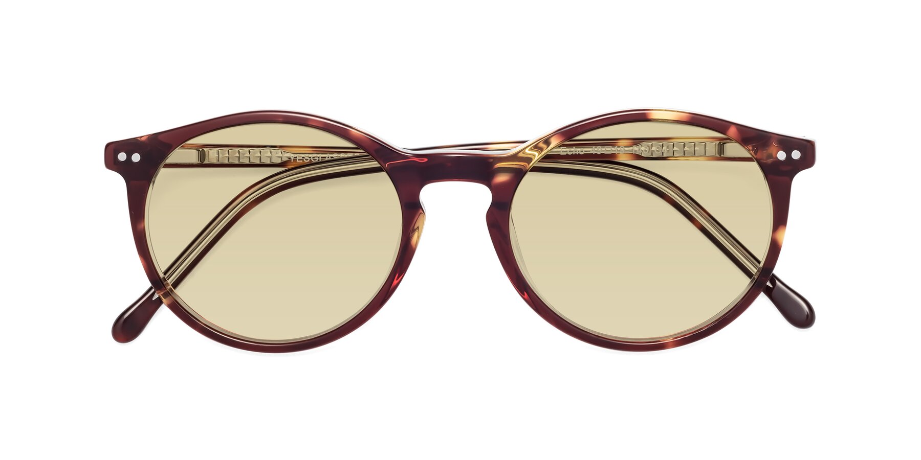 Folded Front of Echo in Tortoise-Clear with Light Champagne Tinted Lenses