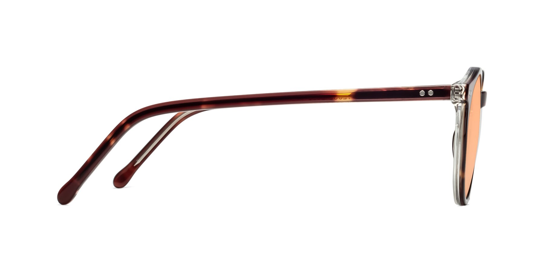 Side of Echo in Tortoise-Clear with Light Orange Tinted Lenses