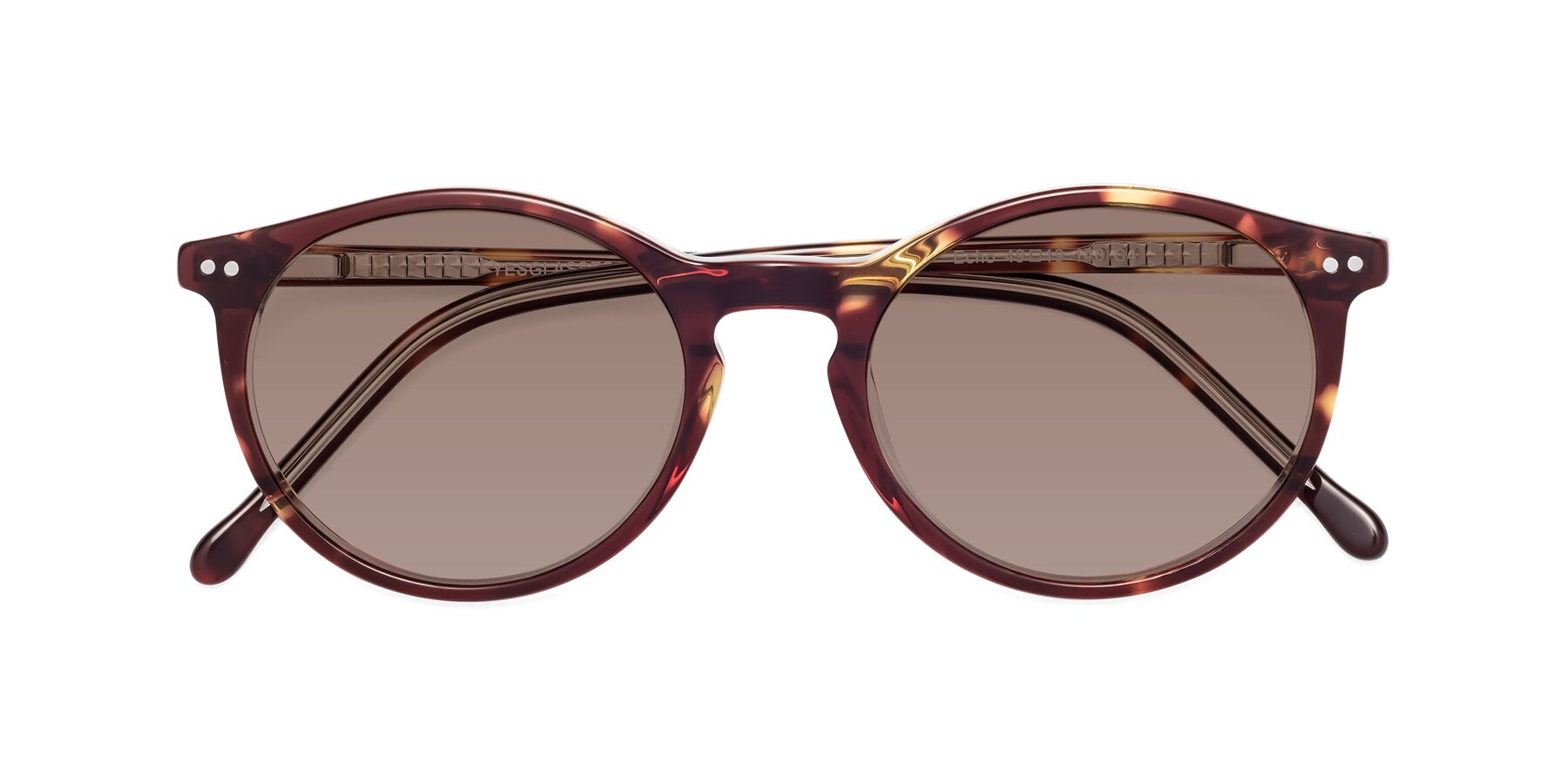 Folded Front of Echo in Tortoise-Clear with Medium Brown Tinted Lenses