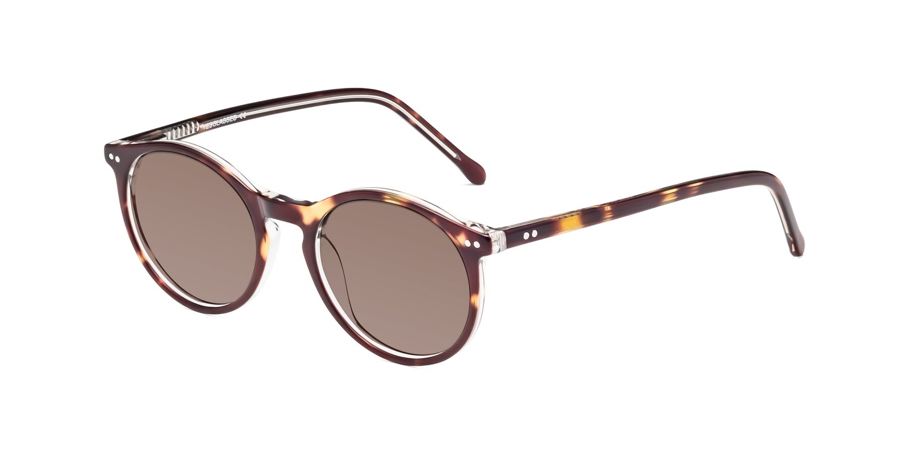 Angle of Echo in Tortoise-Clear with Medium Brown Tinted Lenses