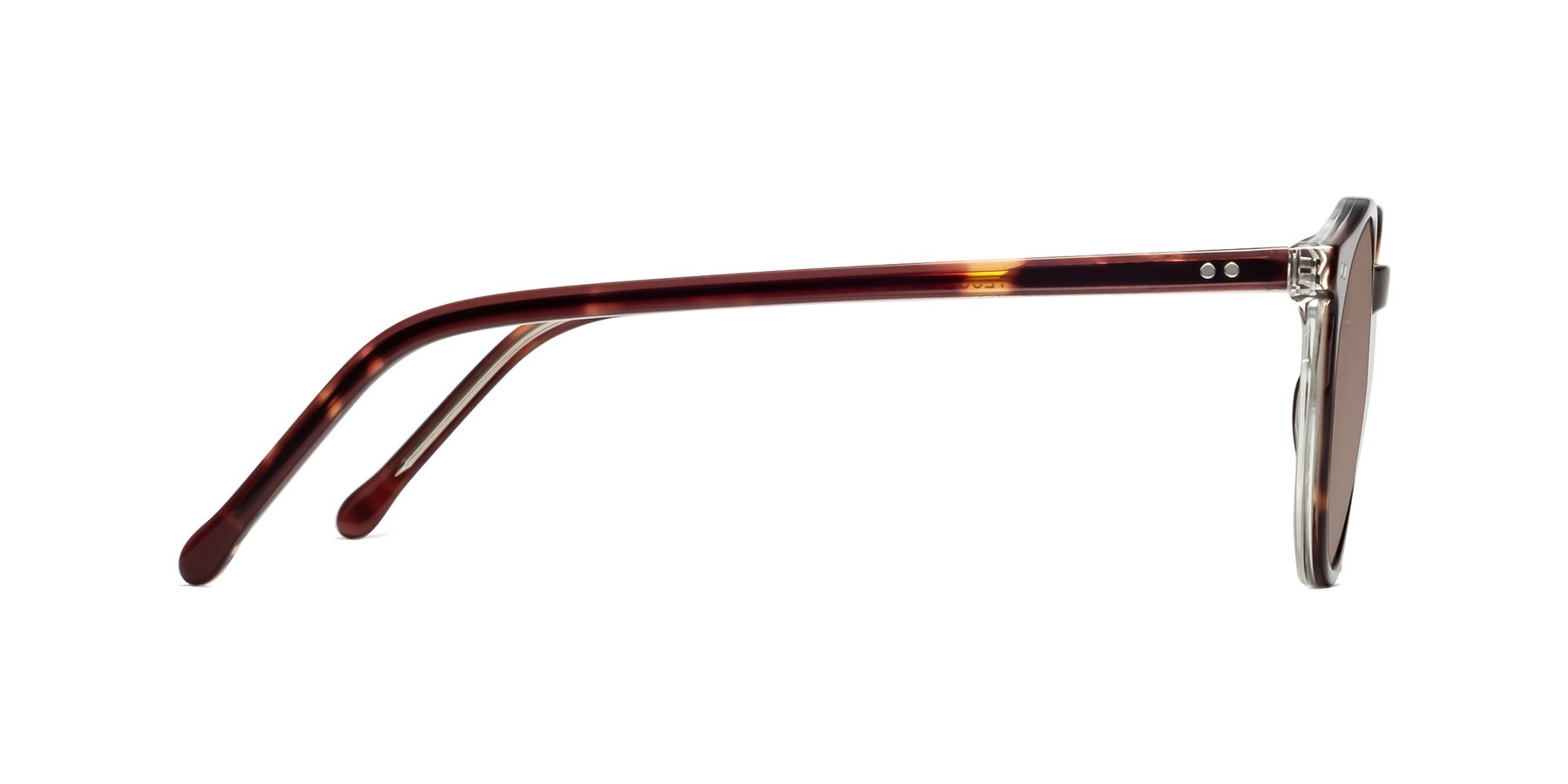 Side of Echo in Tortoise-Clear with Medium Brown Tinted Lenses