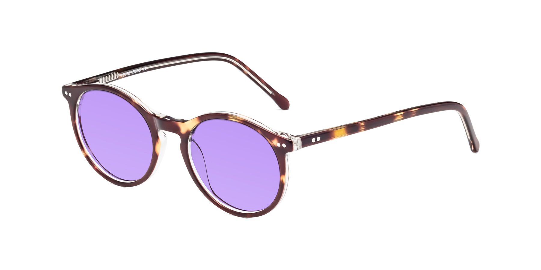 Angle of Echo in Tortoise-Clear with Medium Purple Tinted Lenses