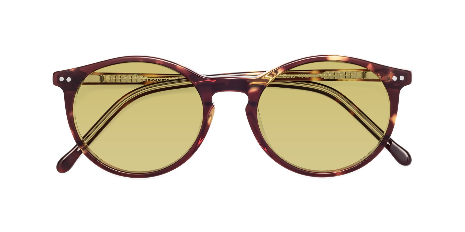 Folded Front of Echo in Tortoise-Clear with Medium Champagne Tinted Lenses