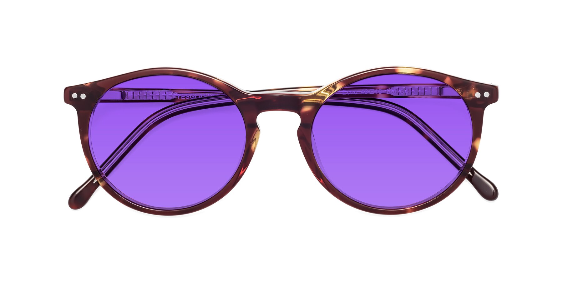 Folded Front of Echo in Tortoise-Clear with Purple Tinted Lenses