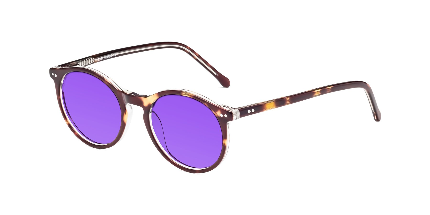 Angle of Echo in Tortoise-Clear with Purple Tinted Lenses