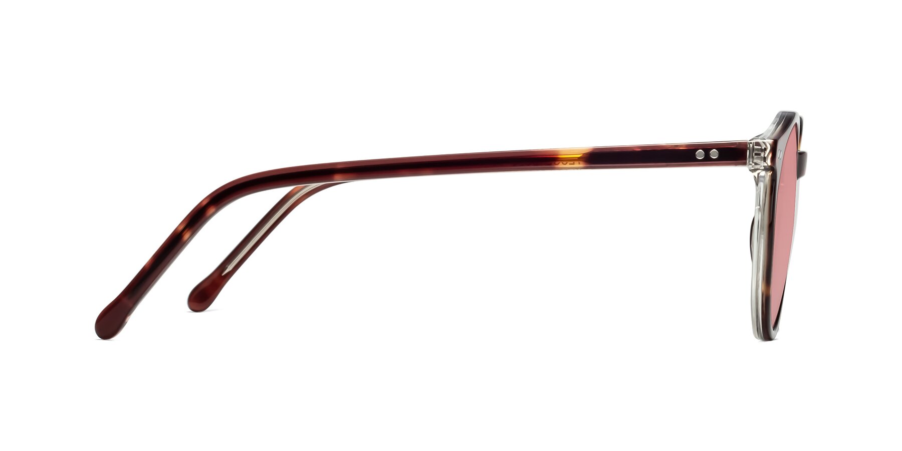 Side of Echo in Tortoise-Clear with Medium Garnet Tinted Lenses