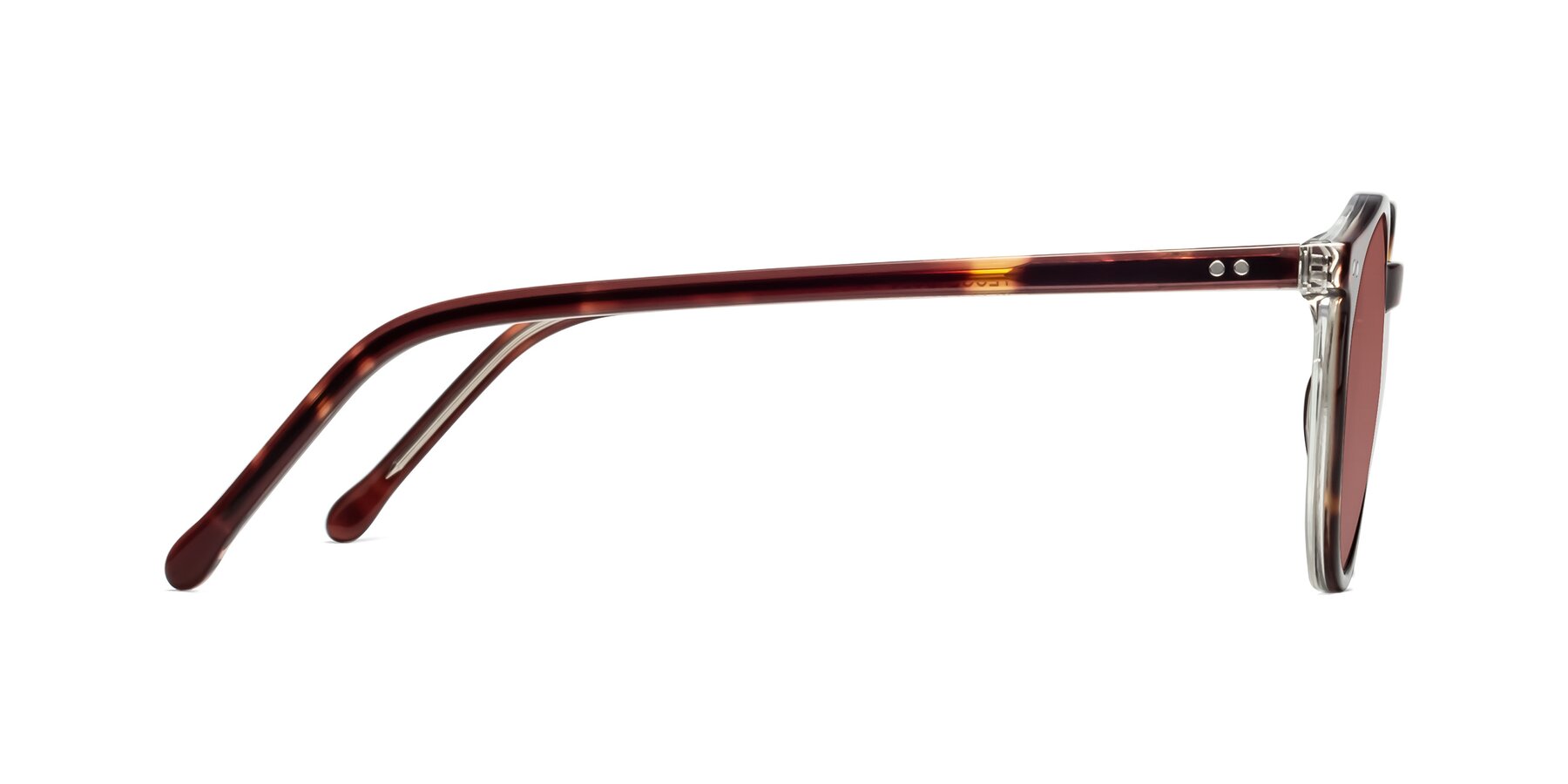 Side of Echo in Tortoise-Clear with Garnet Tinted Lenses