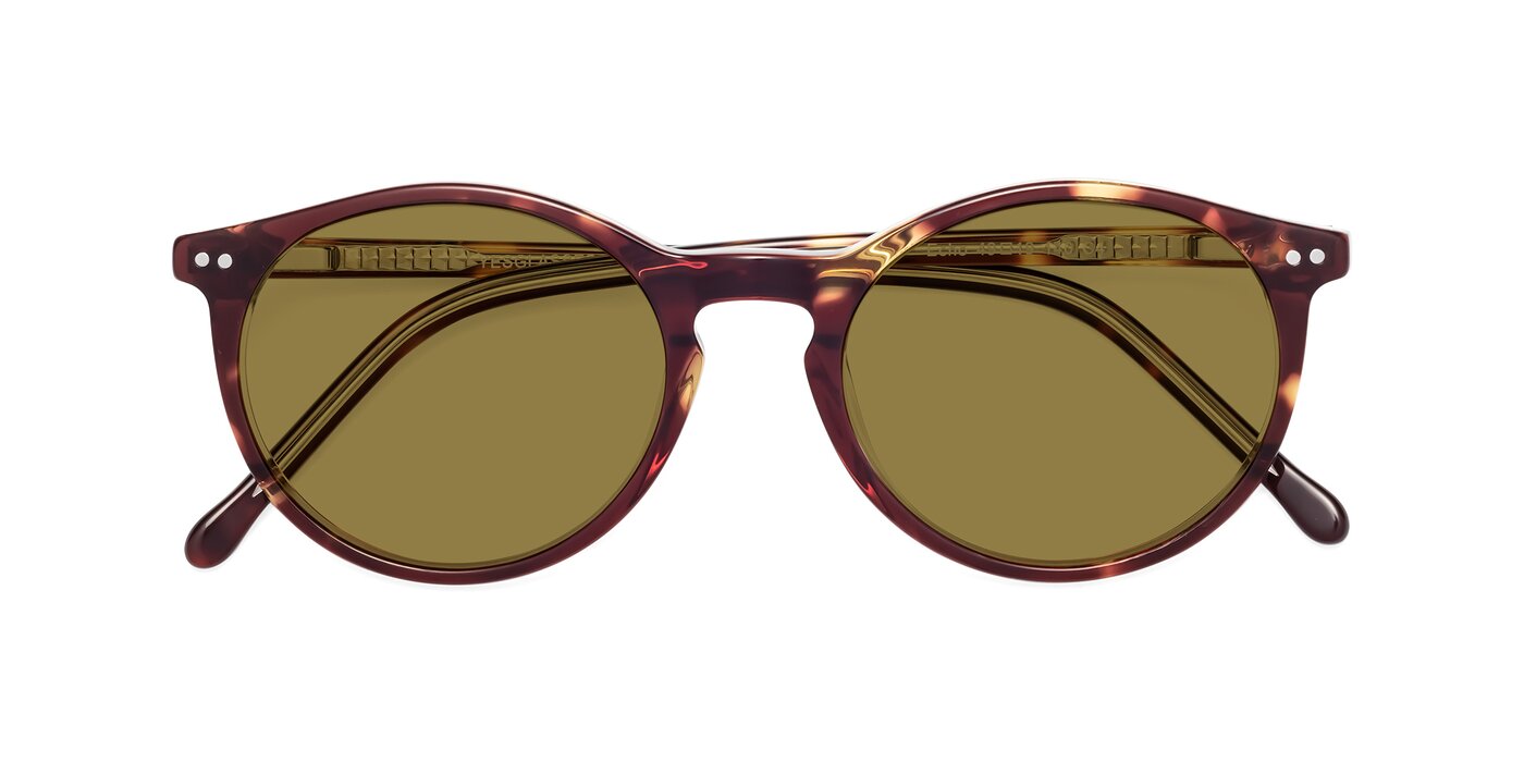Echo - Tortoise / Clear Polarized Sunglasses