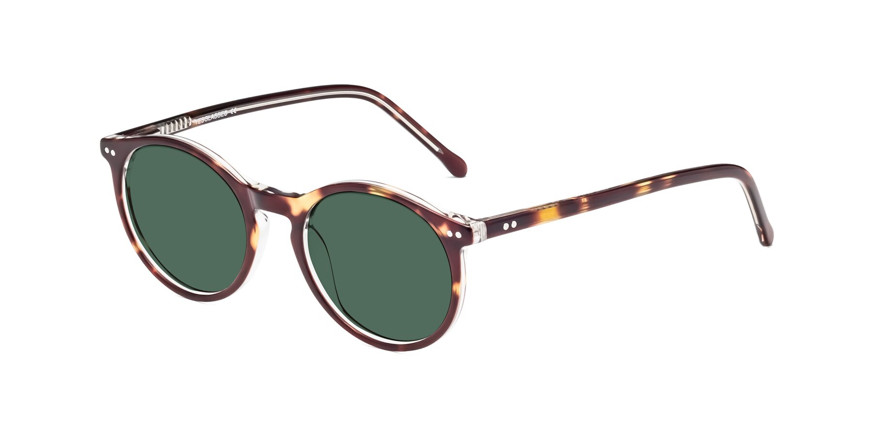 Angle of Echo in Tortoise-Clear with Green Polarized Lenses
