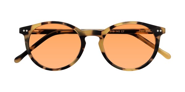 Front of Echo in Honey Tortoise