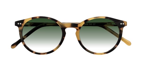 Front of Echo in Honey Tortoise