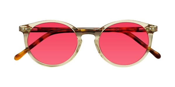 Front of Echo in Champagne / Tortoise