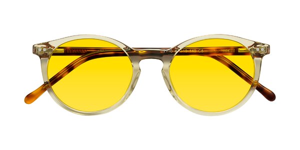 Front of Echo in Champagne / Tortoise