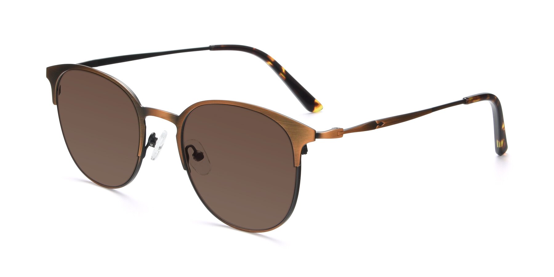 Angle of 9547 in Antique Bronze with Brown Tinted Lenses