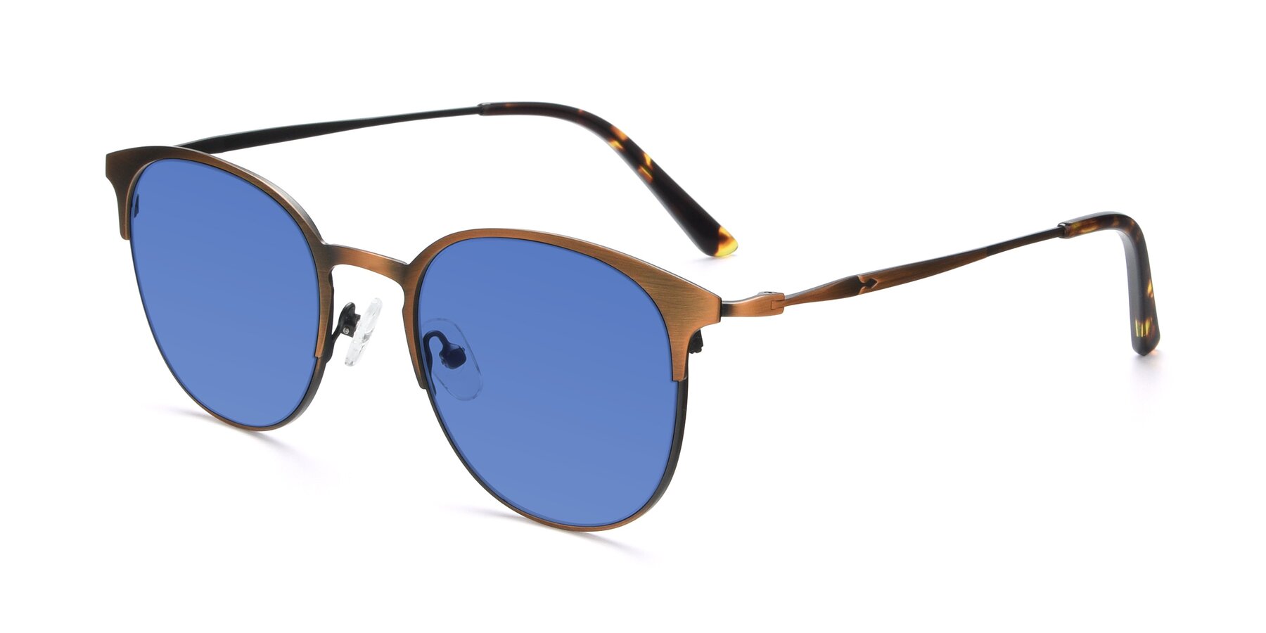 Angle of 9547 in Antique Bronze with Blue Tinted Lenses