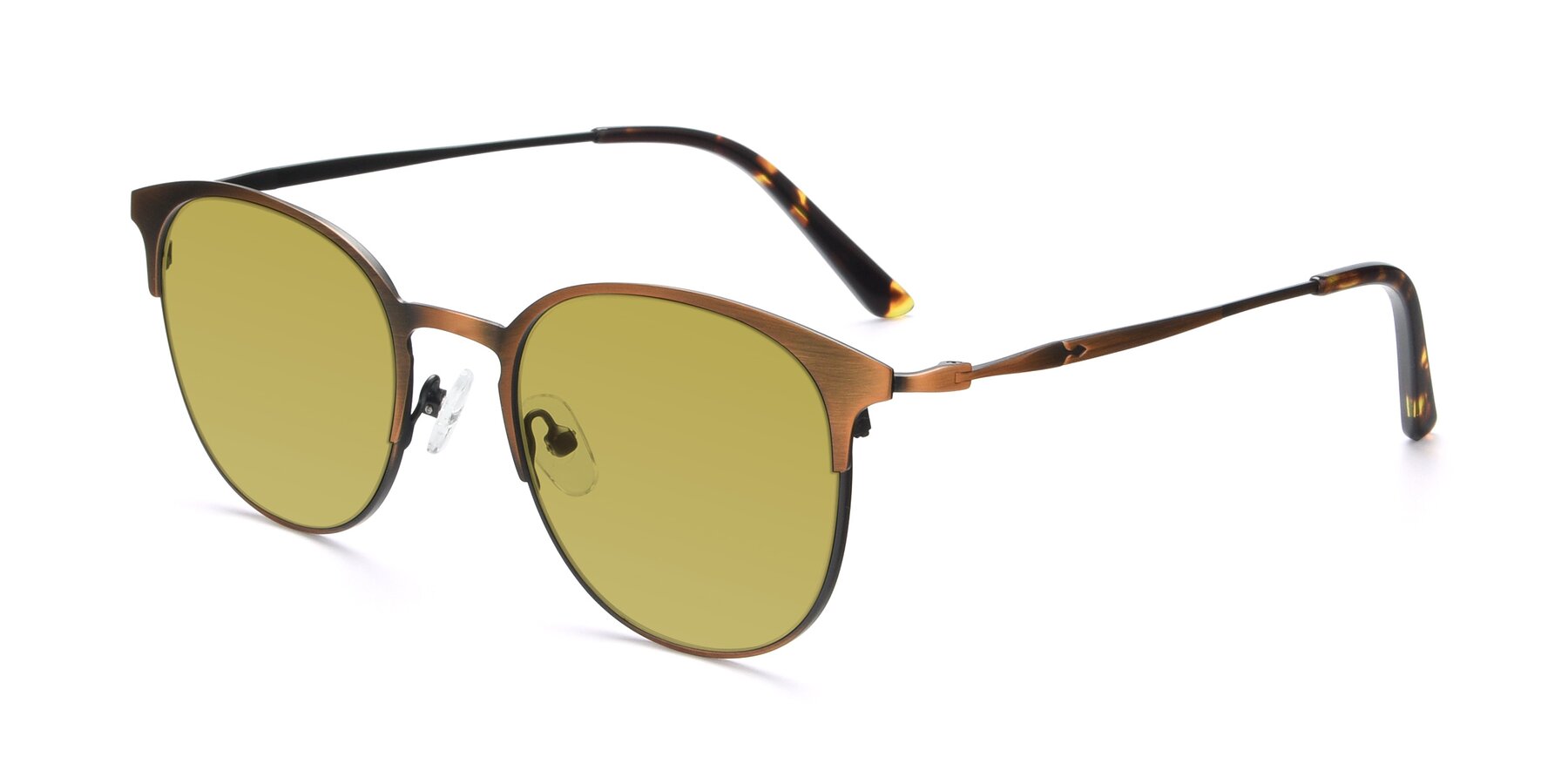 Angle of 9547 in Antique Bronze with Champagne Tinted Lenses