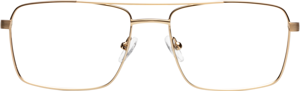 Gold Classic Metal Rectangle Eyeglasses Beckum