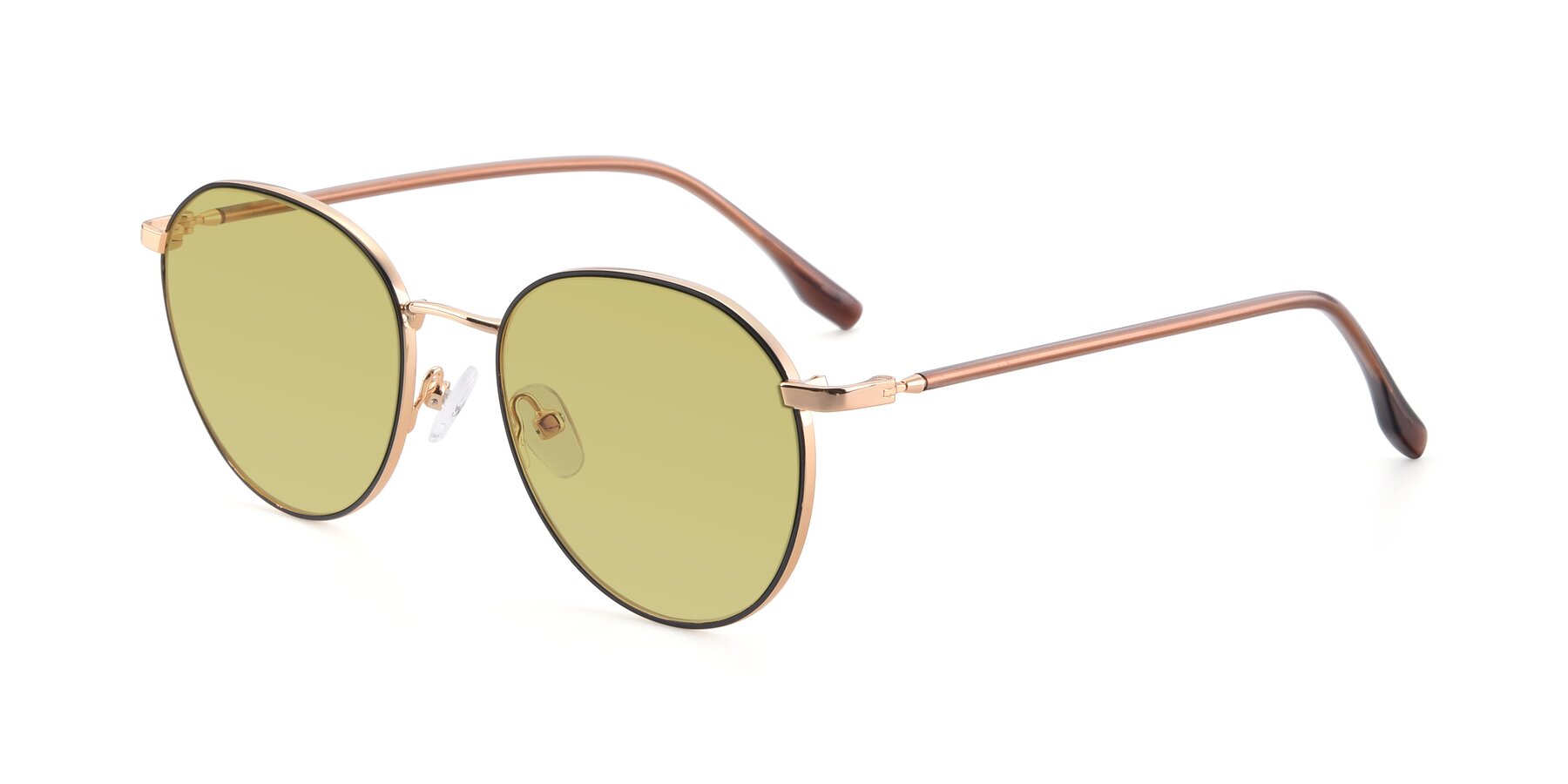 Angle of 9553 in Black-Gold with Medium Champagne Tinted Lenses