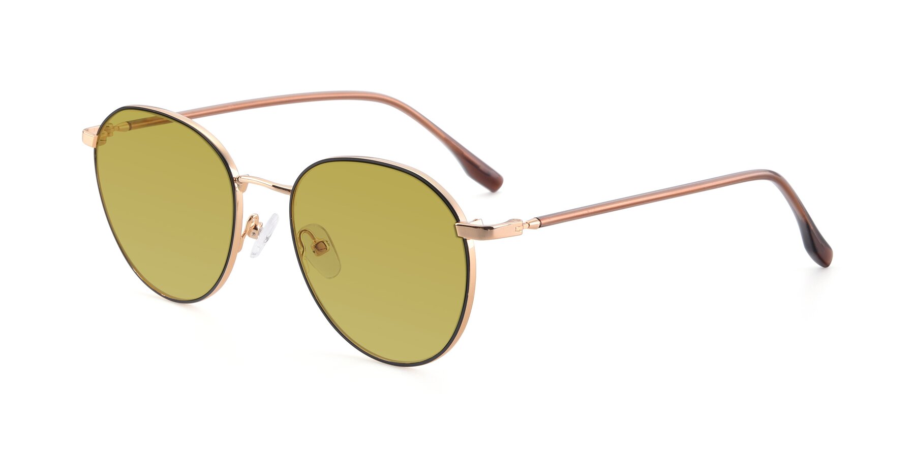 Angle of 9553 in Black-Gold with Champagne Tinted Lenses