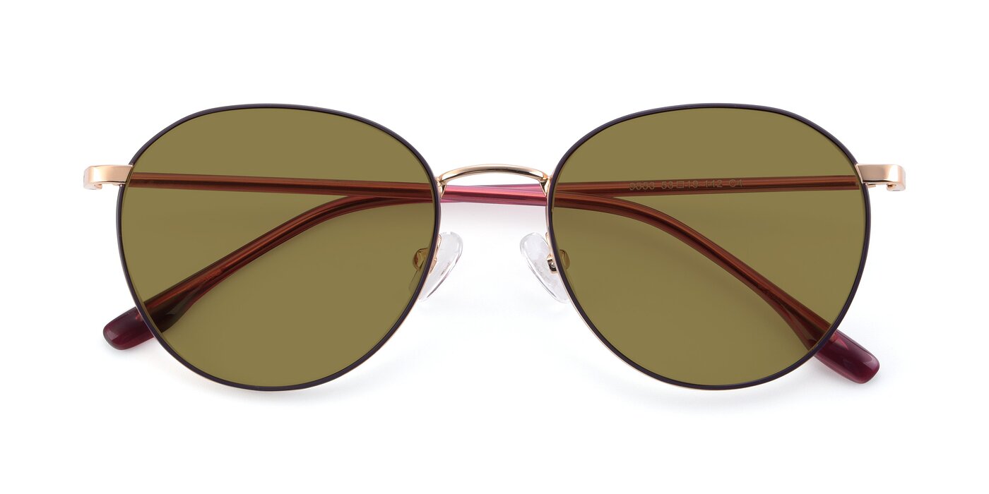 9553 - Purple / Gold Polarized Sunglasses