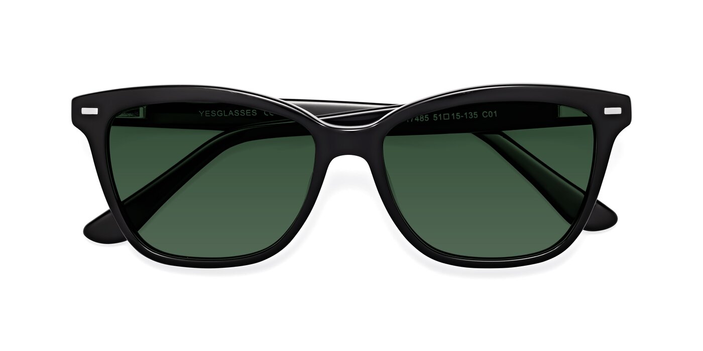 17485 - Black Tinted Sunglasses