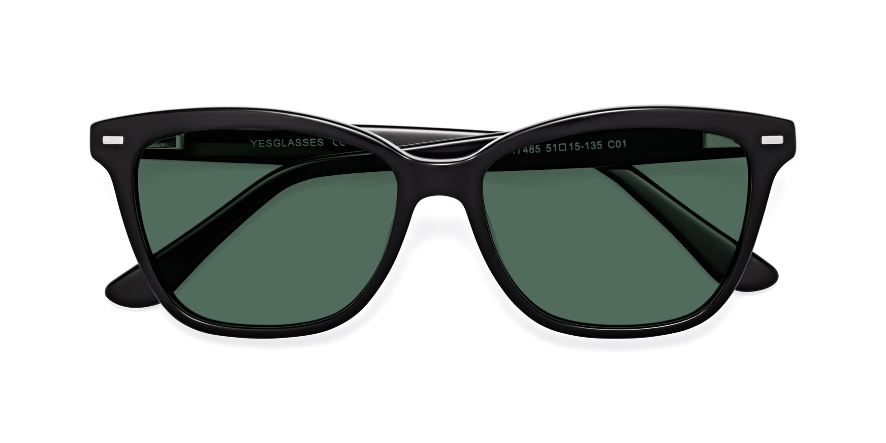 Folded Front of 17485 in Black with Green Polarized Lenses