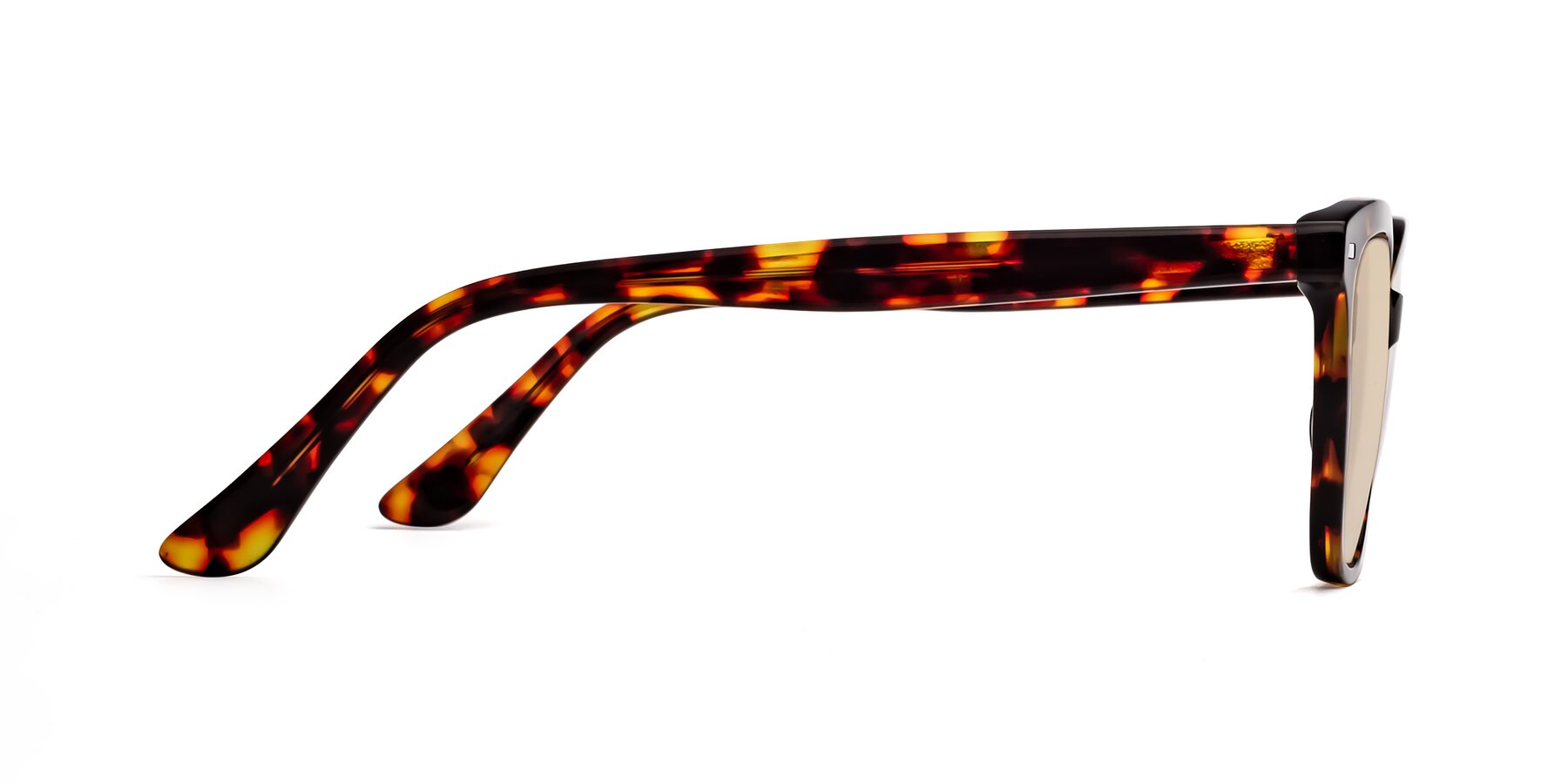 Side of 17485 in Tortoise with Light Brown Tinted Lenses