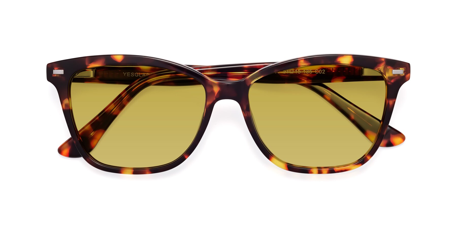 Folded Front of 17485 in Tortoise with Champagne Tinted Lenses
