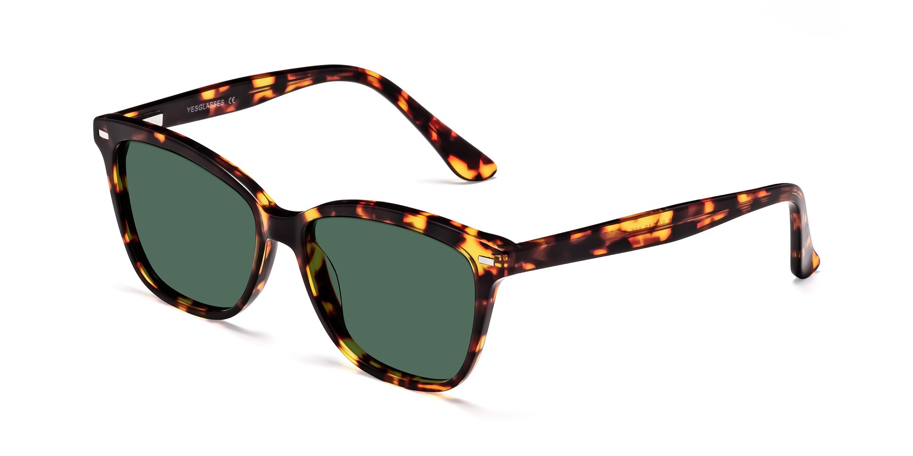 Angle of 17485 in Tortoise with Green Polarized Lenses