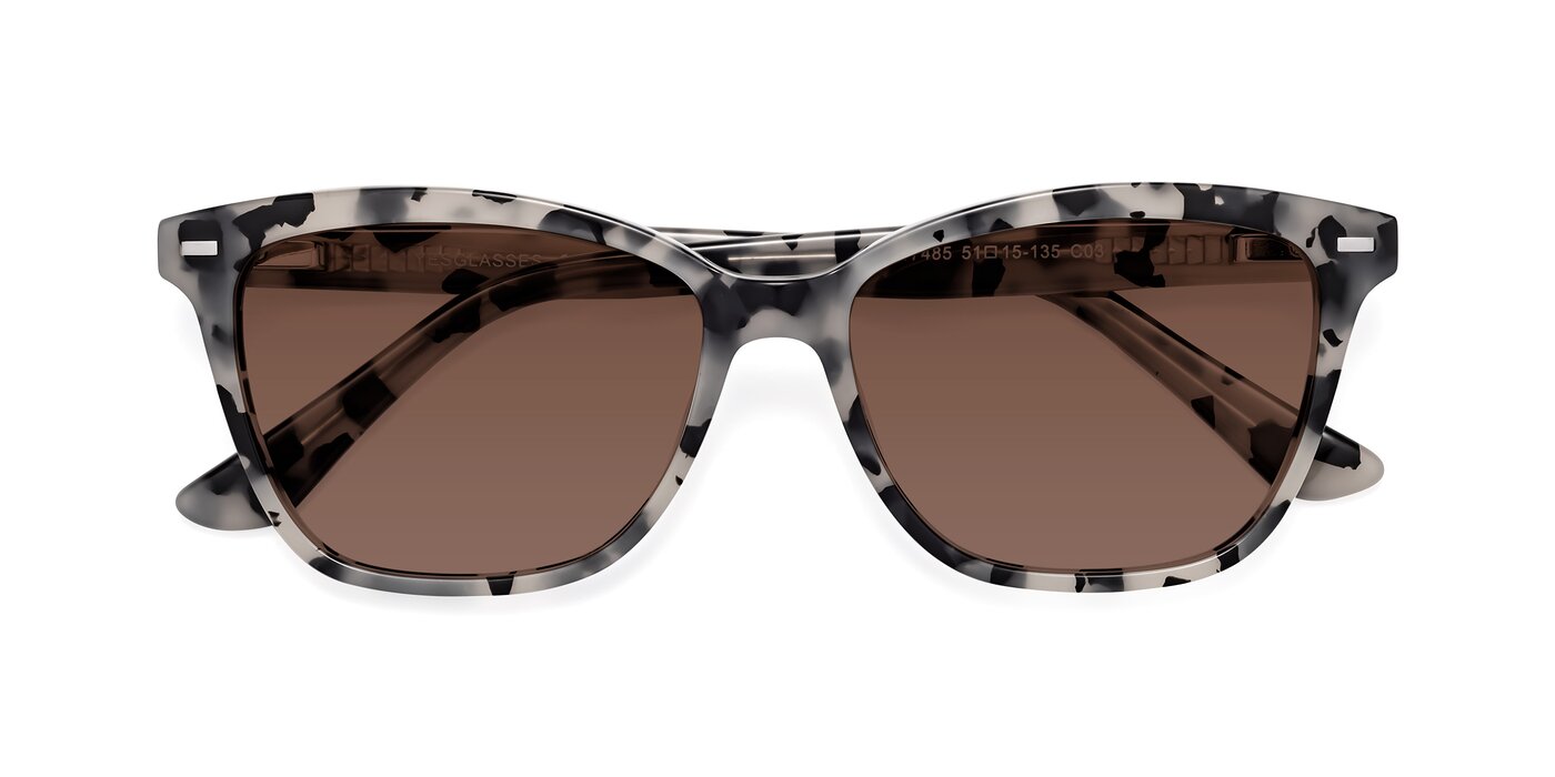 17485 - Honey Tortoise Tinted Sunglasses
