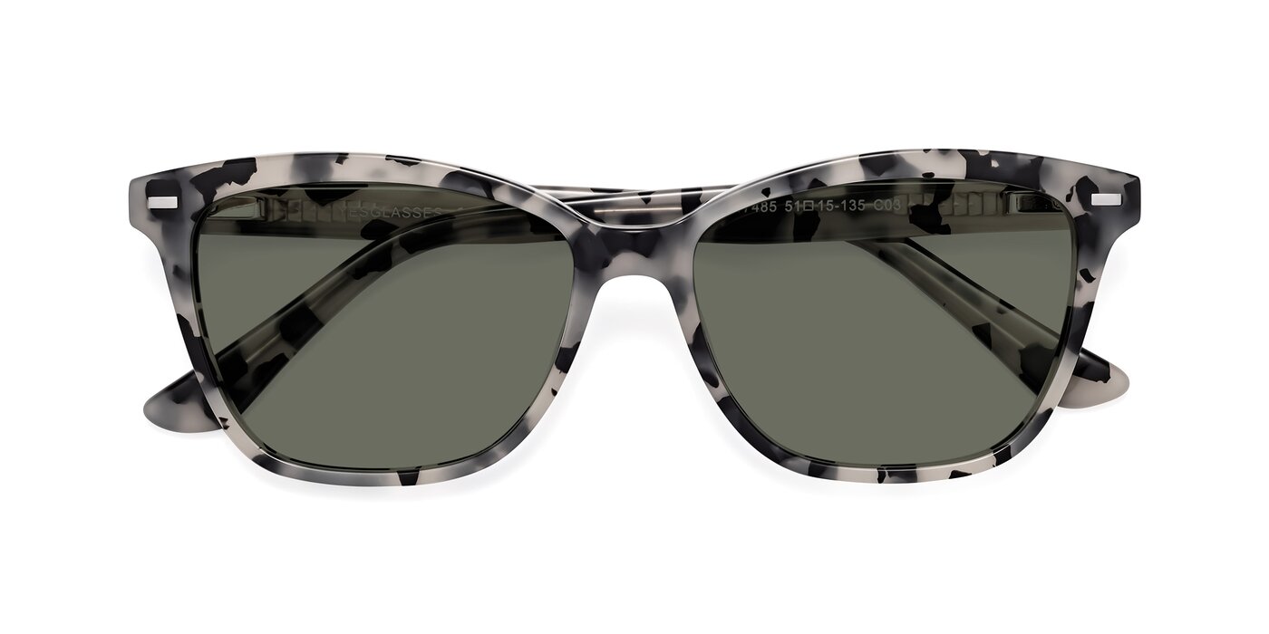 17485 - Honey Tortoise Polarized Sunglasses