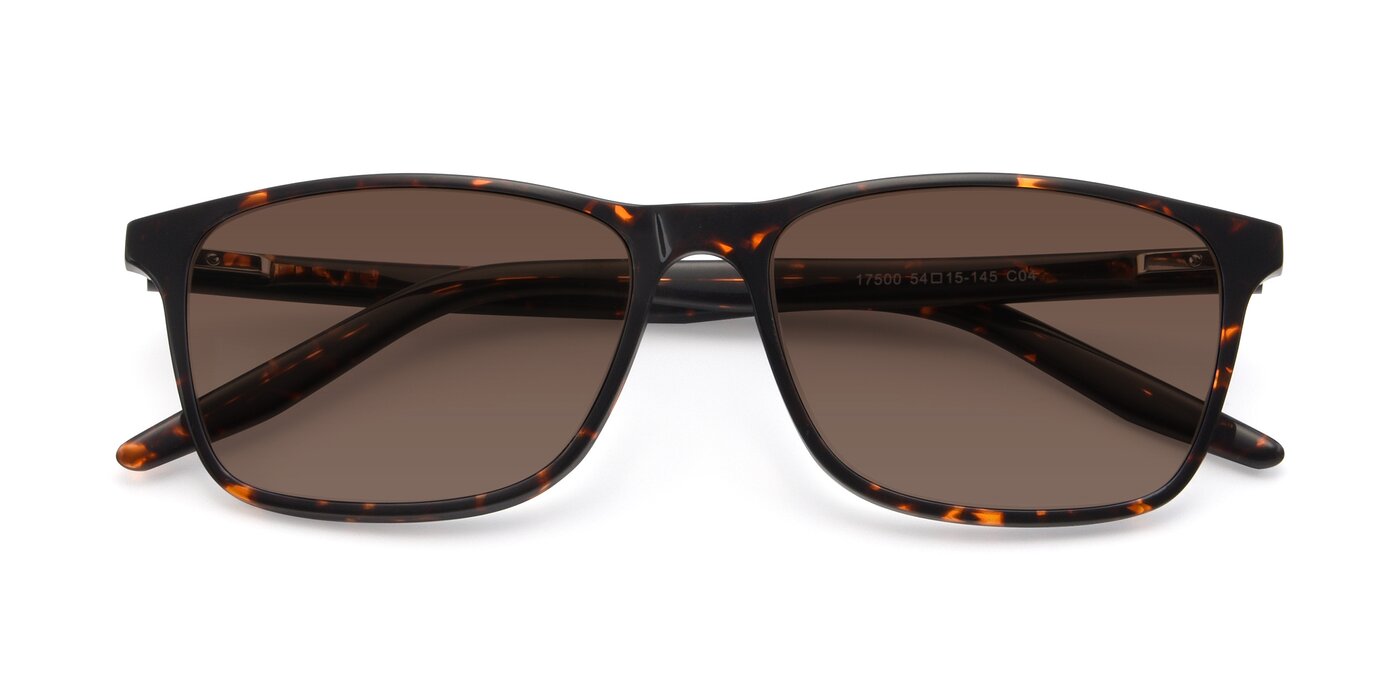 17500 - Tortoise Tinted Sunglasses