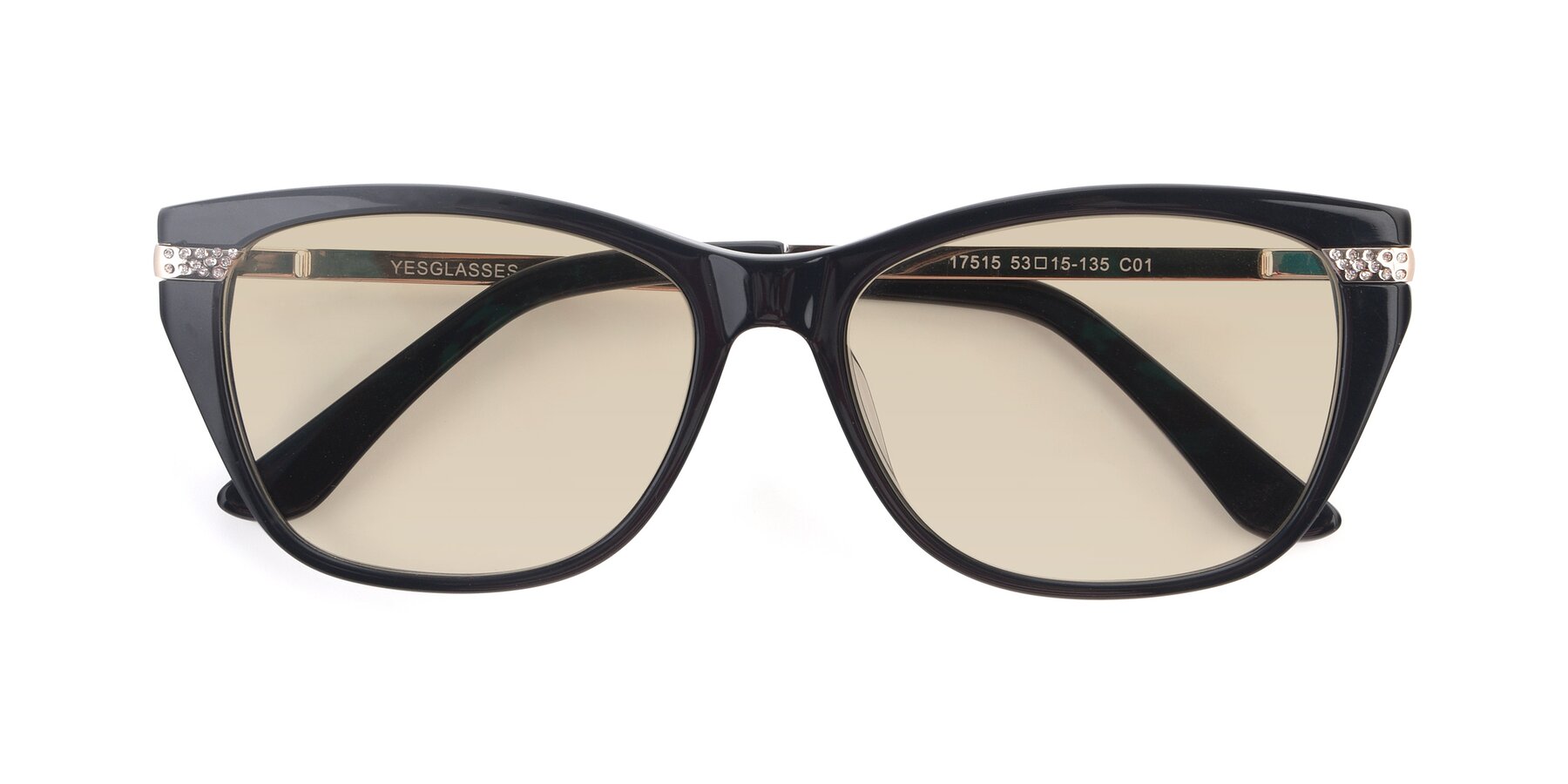 Folded Front of 17515 in Black with Light Brown Tinted Lenses