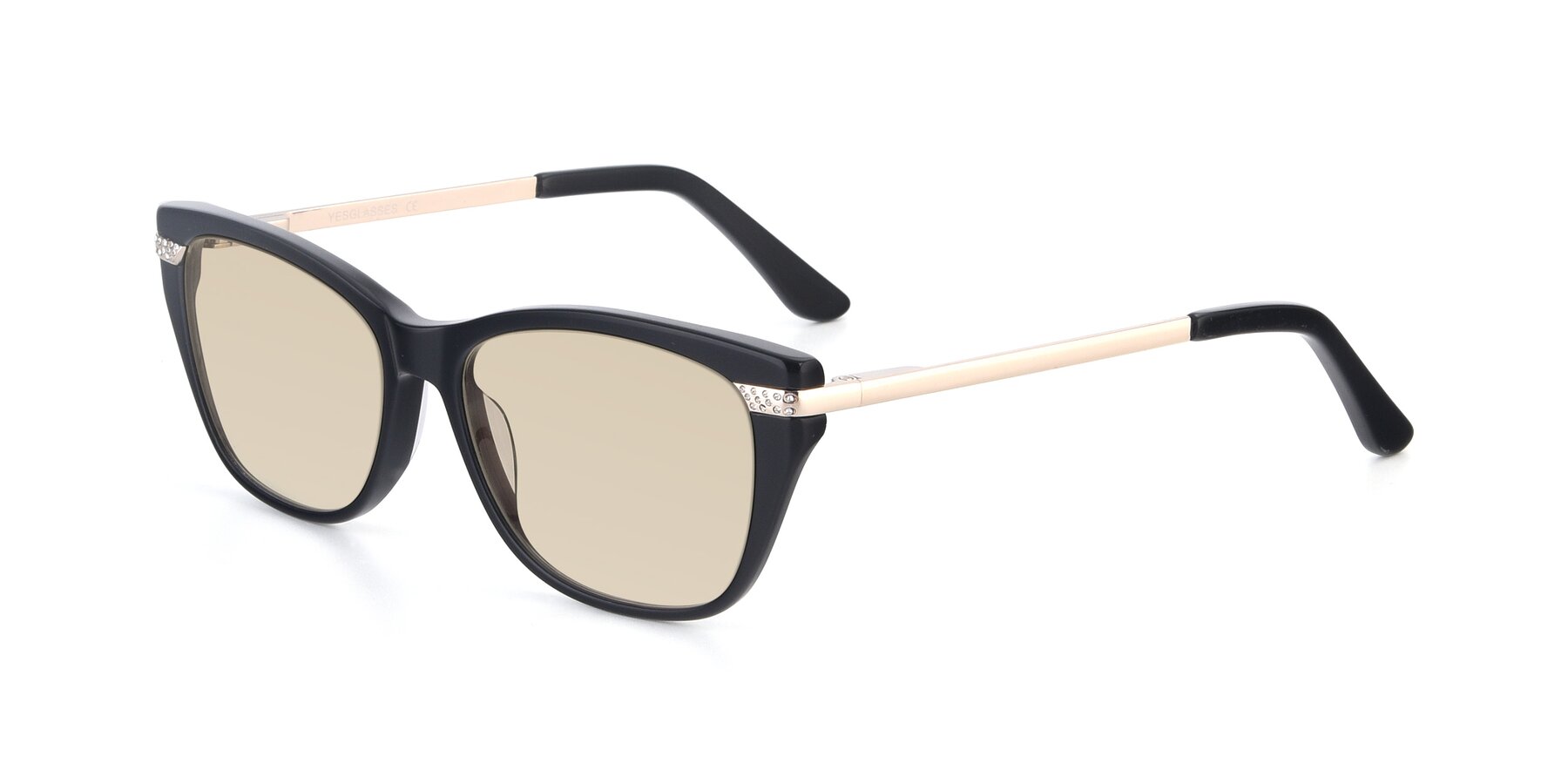 Angle of 17515 in Black with Light Brown Tinted Lenses