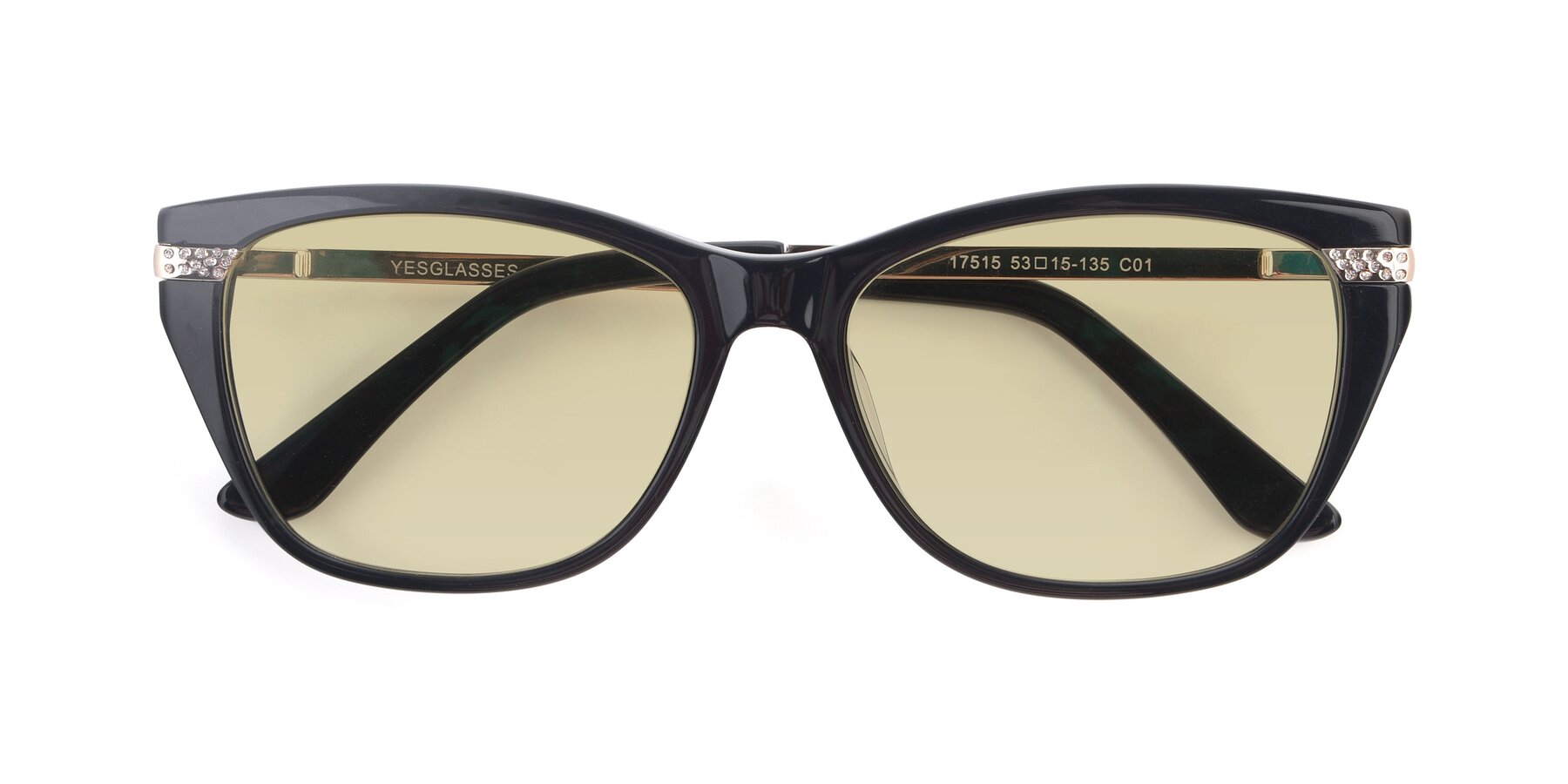 Folded Front of 17515 in Black with Light Champagne Tinted Lenses