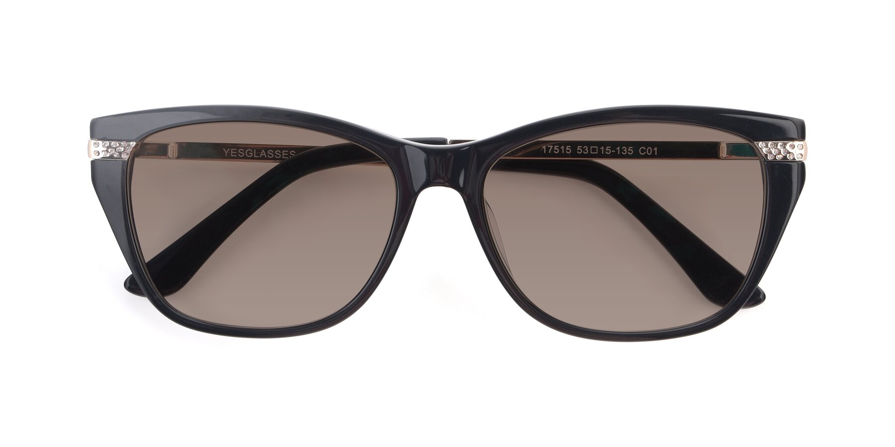 Folded Front of 17515 in Black with Medium Brown Tinted Lenses