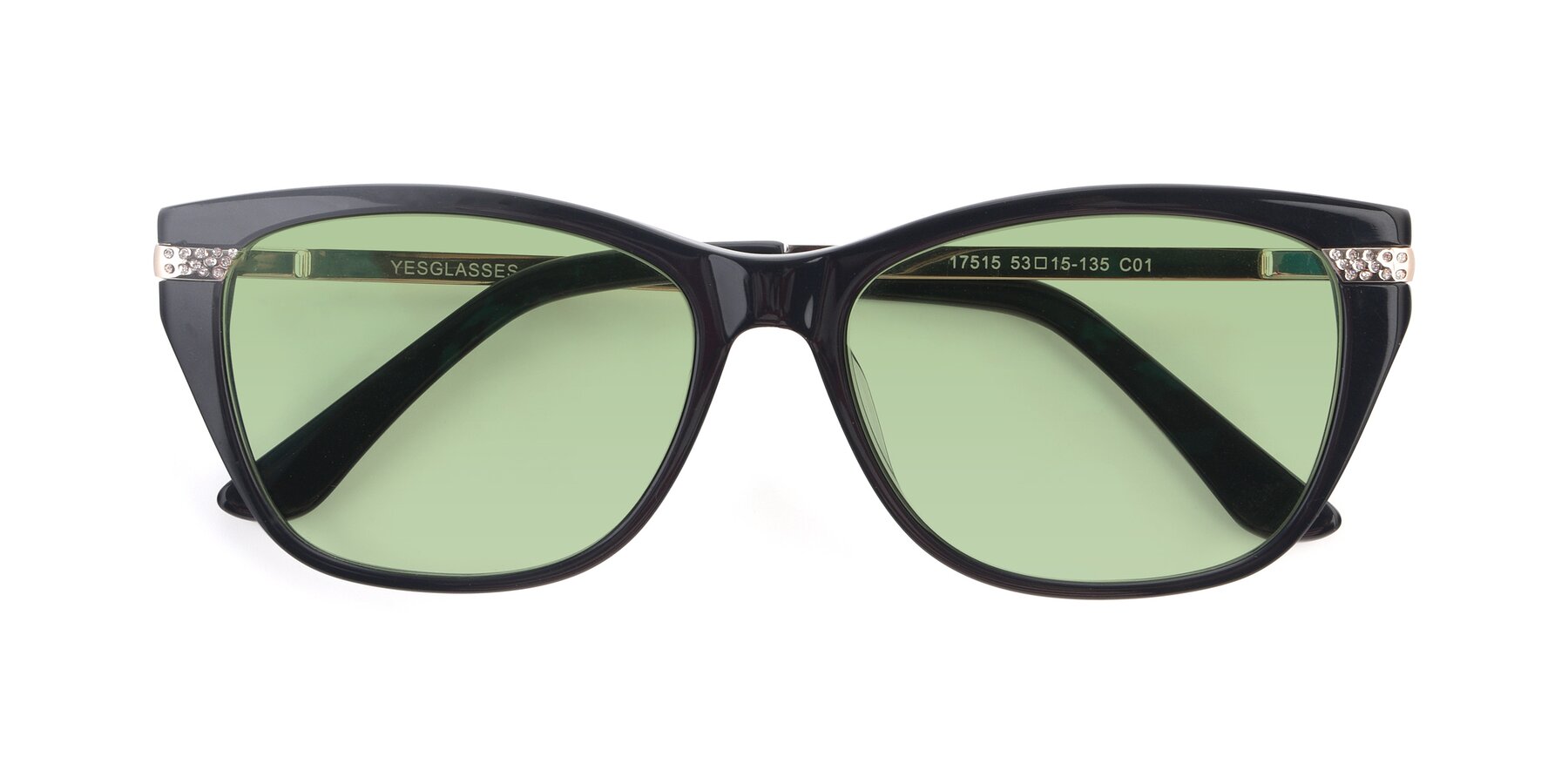 Folded Front of 17515 in Black with Medium Green Tinted Lenses