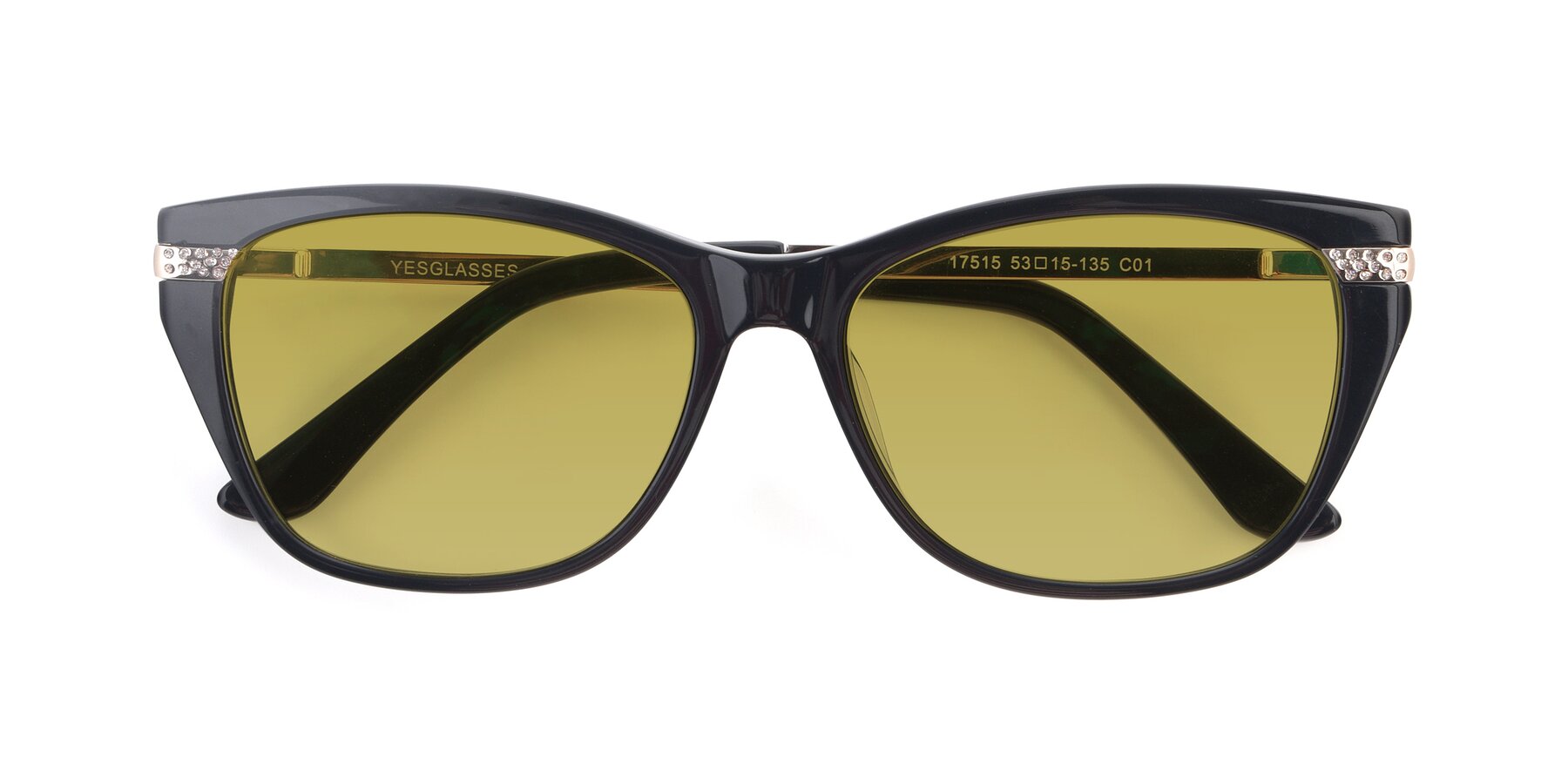 Folded Front of 17515 in Black with Champagne Tinted Lenses