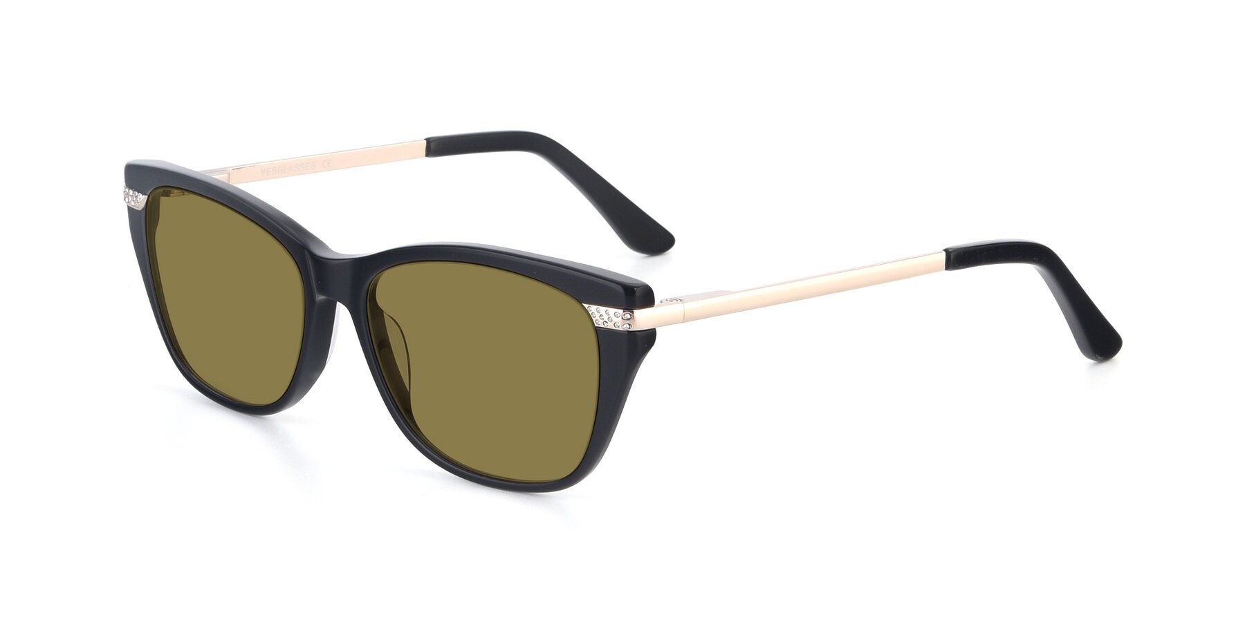 Angle of 17515 in Black with Brown Polarized Lenses