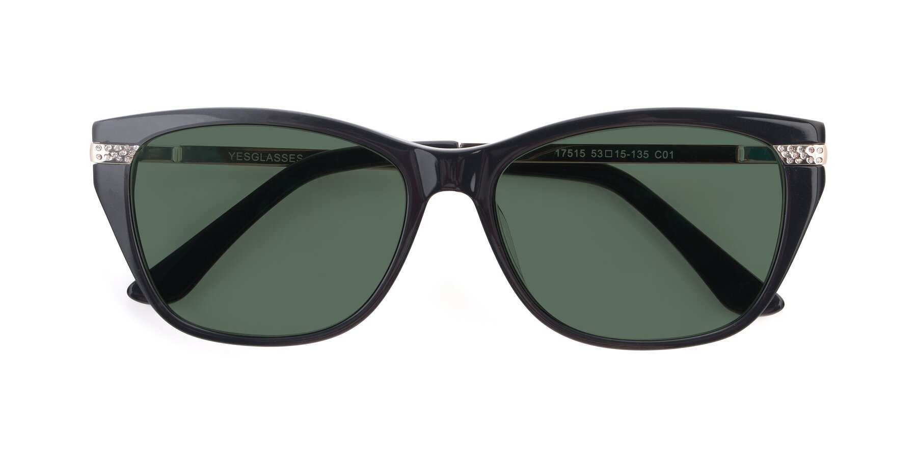 Folded Front of 17515 in Black with Green Polarized Lenses