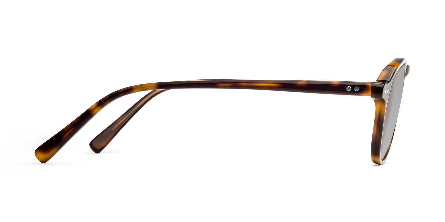 Side of 17544 in Tortoise with Light Gray Tinted Lenses