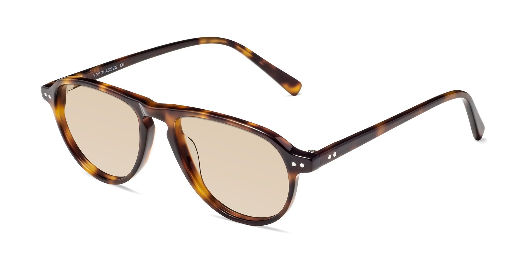 Angle of 17544 in Tortoise with Light Brown Tinted Lenses