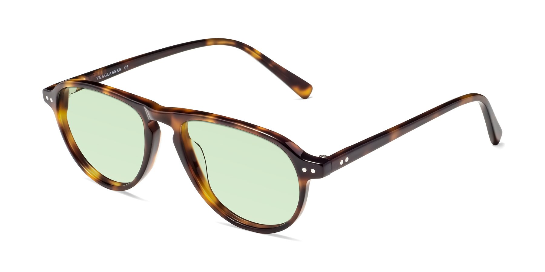 Angle of 17544 in Tortoise with Light Green Tinted Lenses