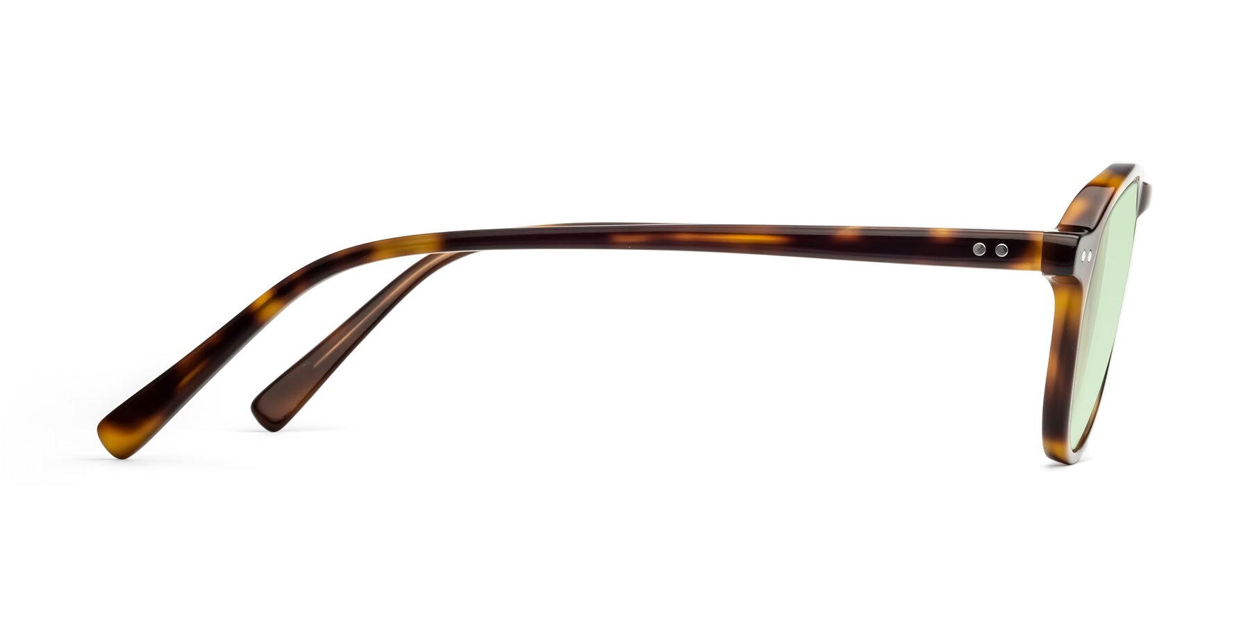 Side of 17544 in Tortoise with Light Green Tinted Lenses