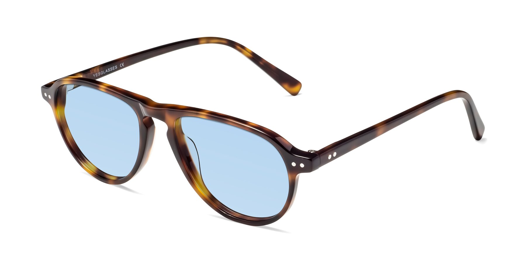 Angle of 17544 in Tortoise with Light Blue Tinted Lenses