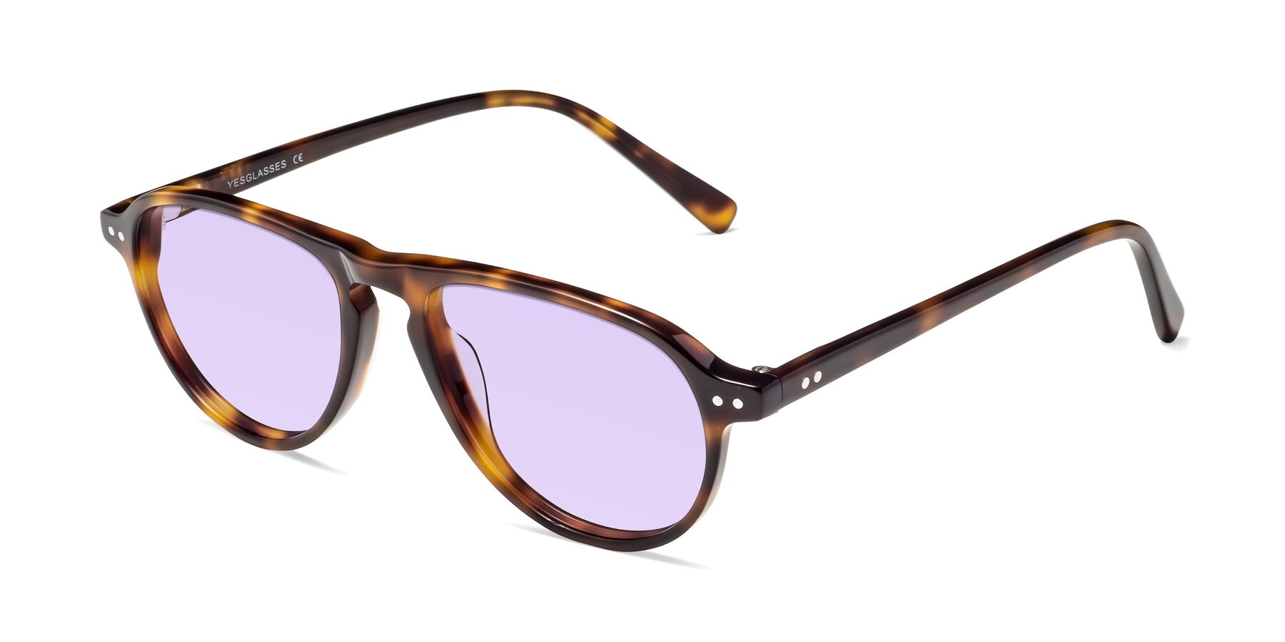 Angle of 17544 in Tortoise with Light Purple Tinted Lenses