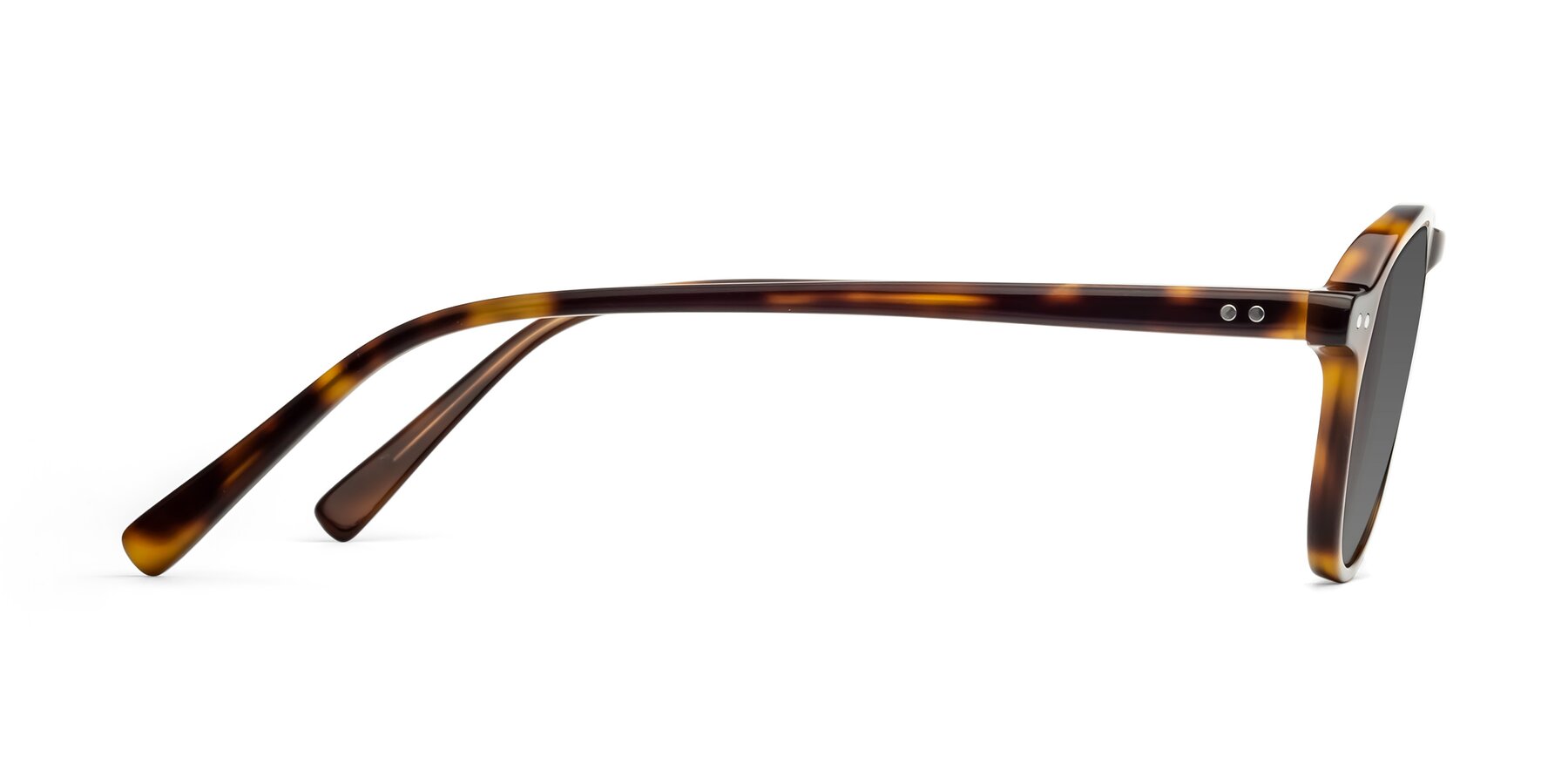 Side of 17544 in Tortoise with Medium Gray Tinted Lenses