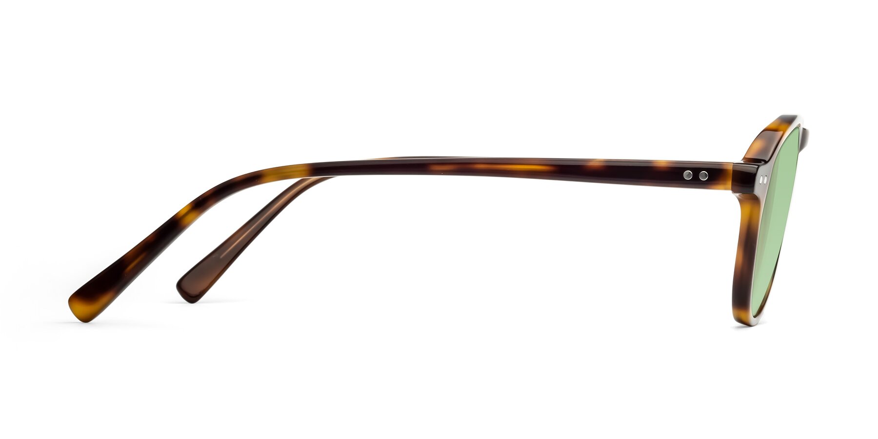 Side of 17544 in Tortoise with Medium Green Tinted Lenses