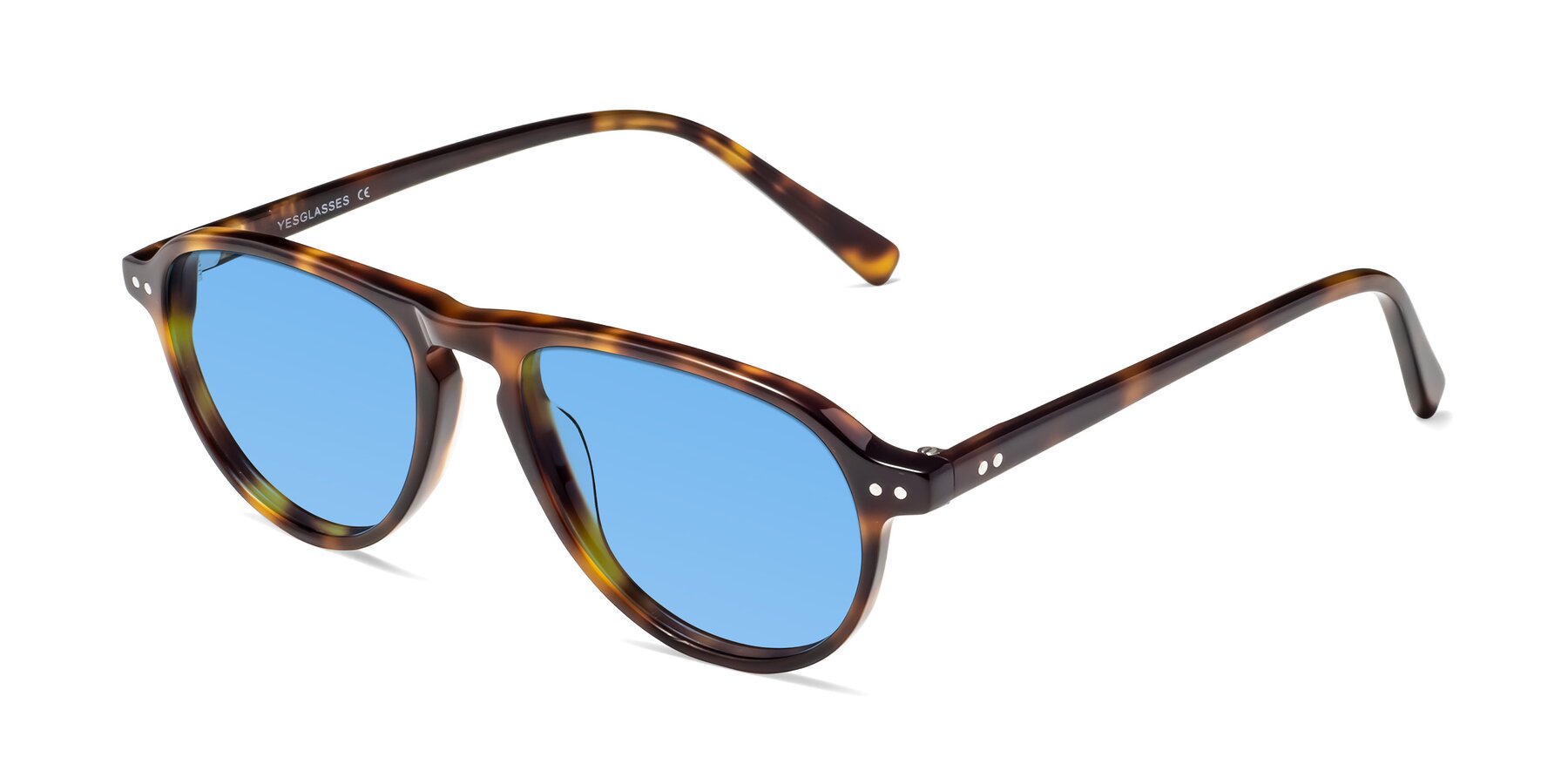 Angle of 17544 in Tortoise with Medium Blue Tinted Lenses